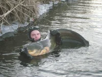 олег.webp