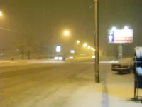 DSCN0281.webp