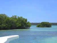 getImageCAEXUM1D.webp