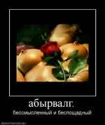 173665_abyirvalg.thumbnail.webp