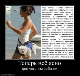 833699_teper-vsyo-yasno.webp