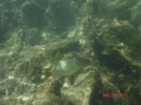 DSC00621.webp