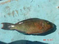 DSC01306.webp