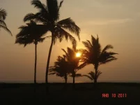 DSC00465.webp