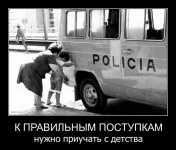 016.webp