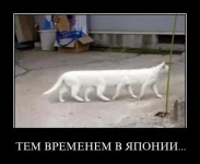 025.webp
