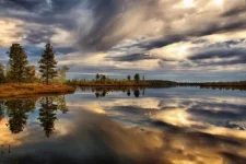 красота.webp