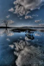 красота3.webp