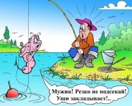 физеология.webp