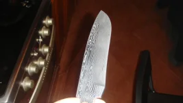 DSC01927.webp