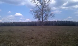 IMAG0319.webp