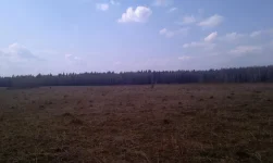 IMAG0320.webp