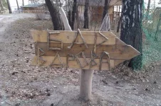 003.webp