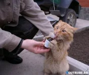 1212135412_25.webp