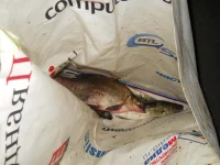 DSCN0500.webp
