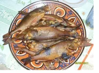 SL371528.webp