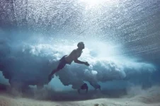 фри6.webp