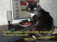 3636239.webp