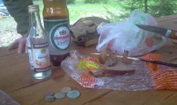 IMAG0110.webp