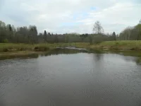 соть.webp