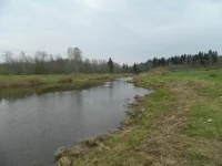 лунка.webp