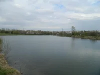 заводской.webp