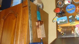 DSC01952.webp