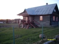 вепсы.webp