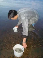 27.webp