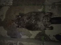 19052011168.webp