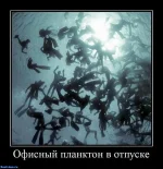 офис.webp