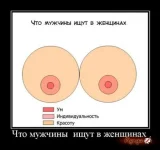 что мужчины ищут.webp