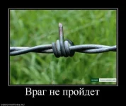 3cadba036ad2.webp