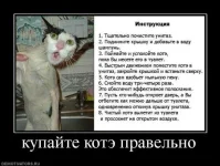 62f820d04c14.webp