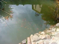 DSC00960.webp
