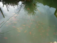 DSC00959.webp