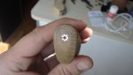 DSC02006.jpg