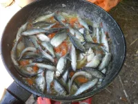 DSCN0599.webp