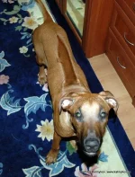 yana.webp