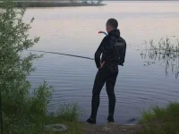палево.webp