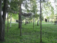 IMG_2702.webp IMG_2702.webp