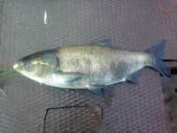 10062011092.webp