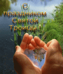 pic.gif
