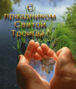 pic.gif