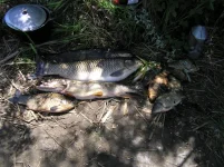 P1010027.webp