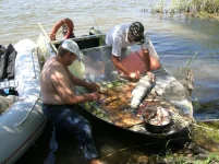 DSCN4586.webp