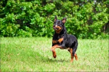 110602_1449web.webp