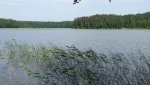 IMG_1248.jpg