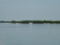 DSC04418.webp