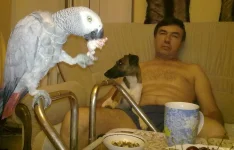 210620111437.webp